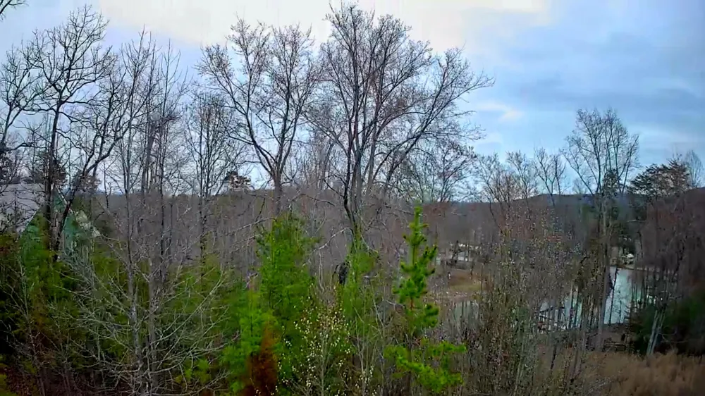 Spring Cove Lane Spring City, TN 37381