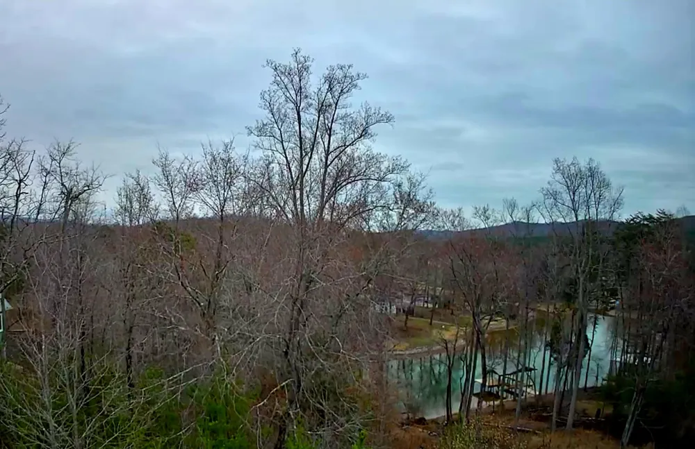 Spring Cove Lane Spring City, TN 37381