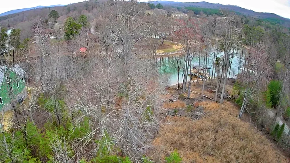 Spring Cove Lane Spring City, TN 37381