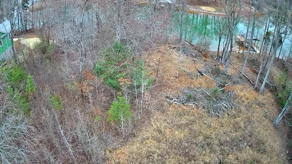 Spring Cove Lane Spring City, TN 37381