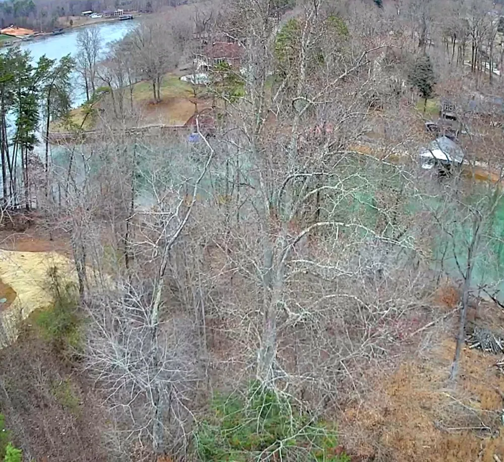 Spring Cove Lane Spring City, TN 37381