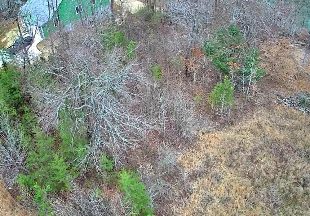 Spring Cove Lane Spring City, TN 37381