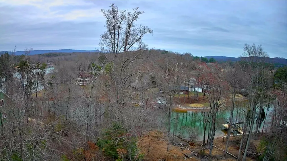 Spring Cove Lane Spring City, TN 37381
