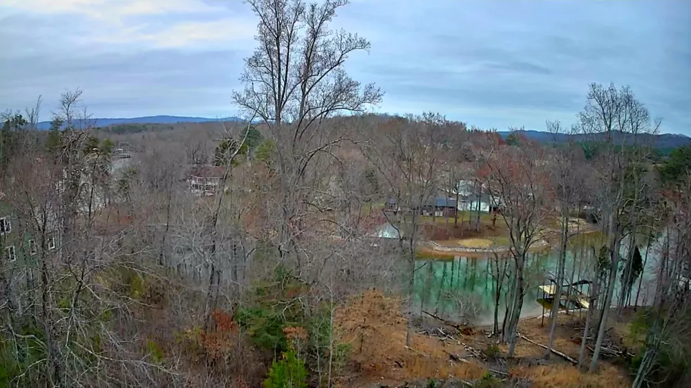 Spring Cove Lane Spring City, TN 37381