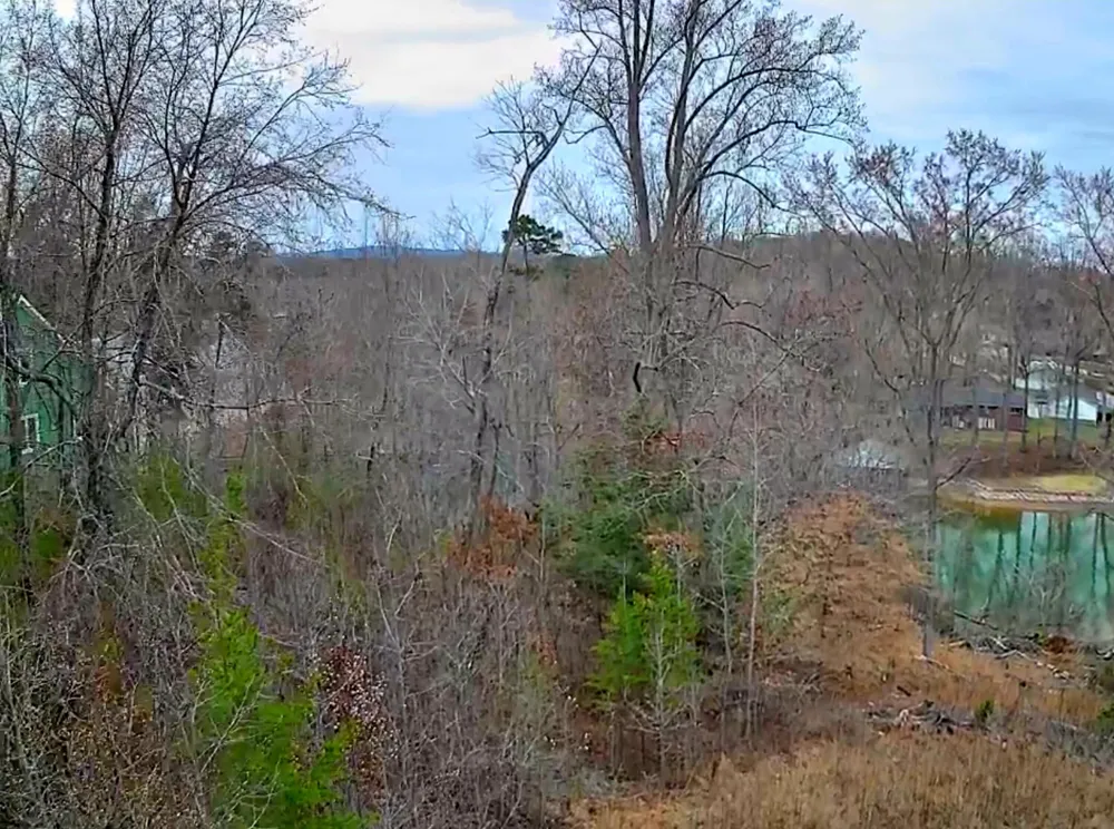 Spring Cove Lane Spring City, TN 37381
