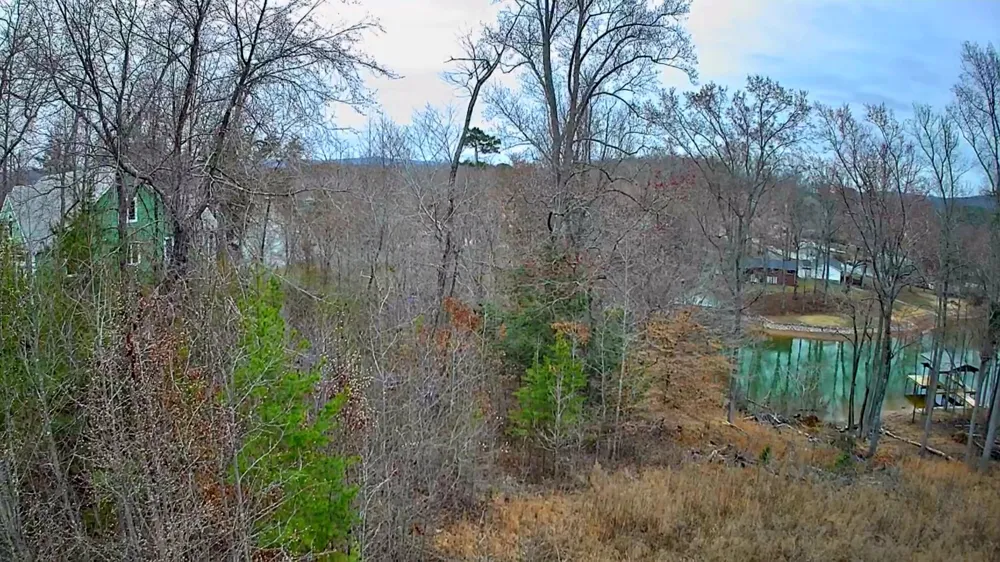 Spring Cove Lane Spring City, TN 37381