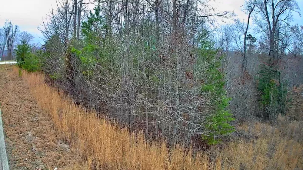 Spring Cove Lane Spring City, TN 37381