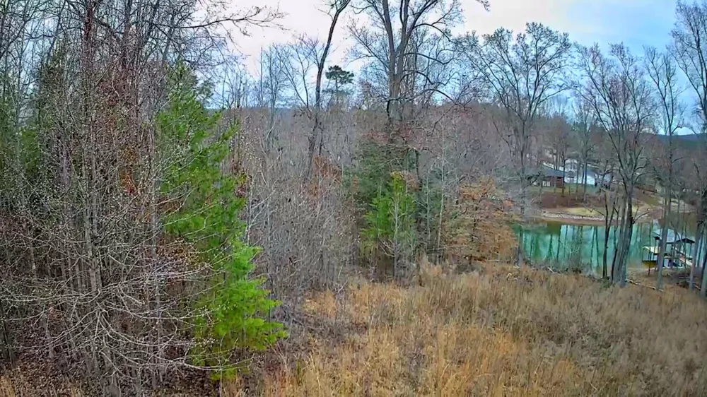Spring Cove Lane Spring City, TN 37381