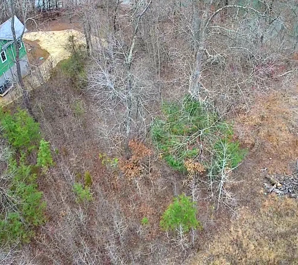 Spring Cove Lane Spring City, TN 37381