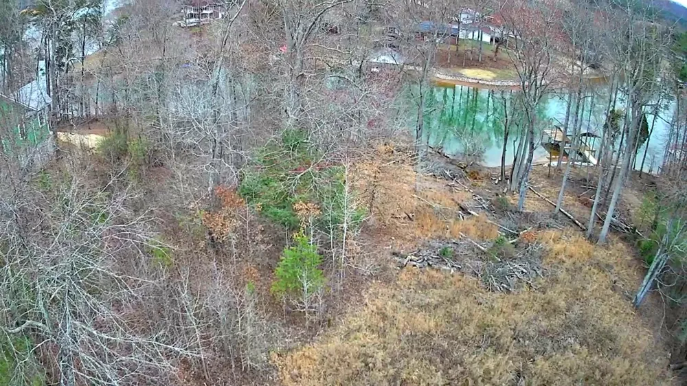Spring Cove Lane Spring City, TN 37381