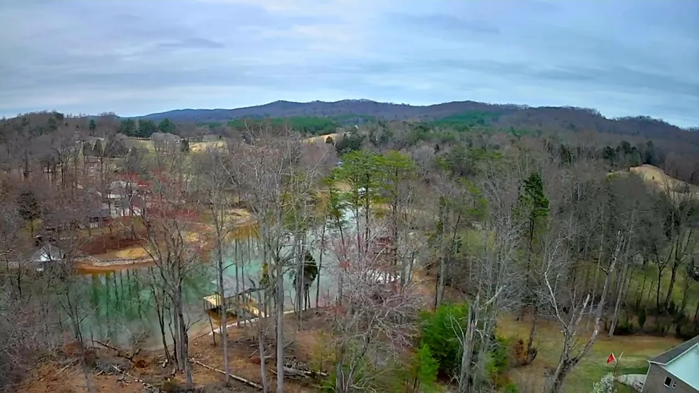 Spring Cove Lane Spring City, TN 37381