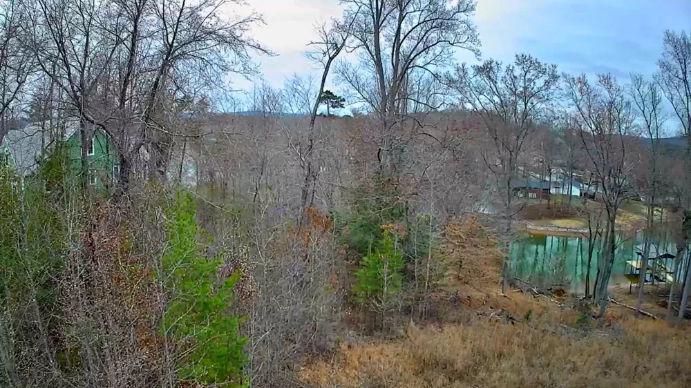 Spring Cove Lane Spring City, TN 37381