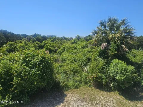 11 Horsemint Trail