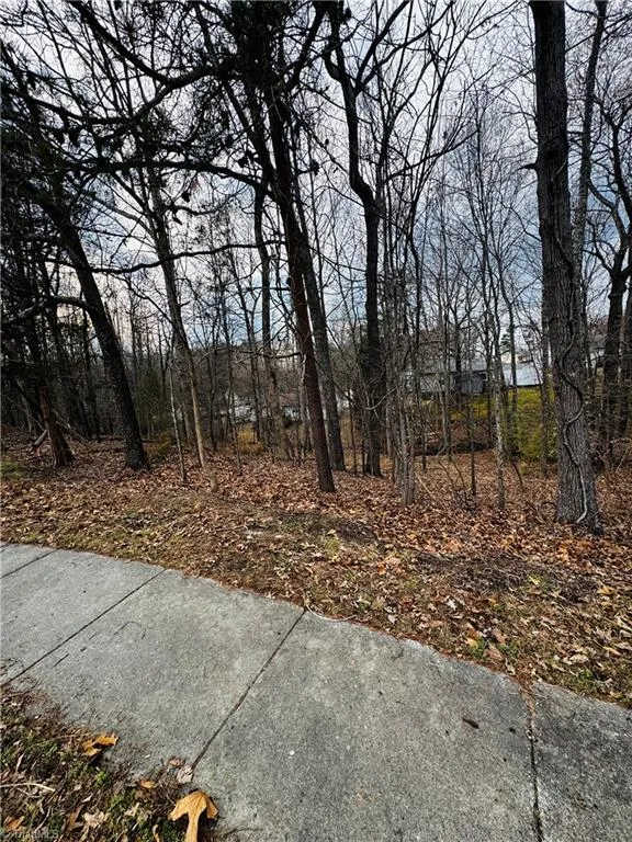 2705 Camillia Cove High Point, NC 27265