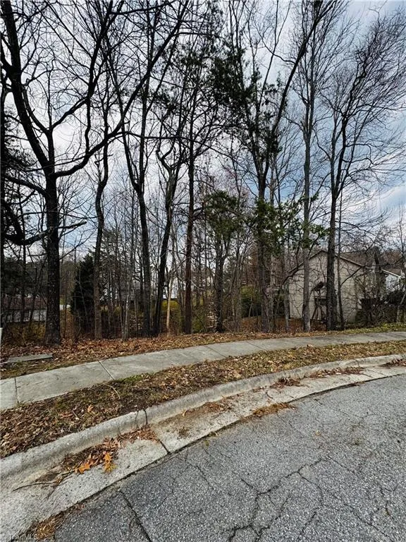 2705 Camillia Cove High Point, NC 27265