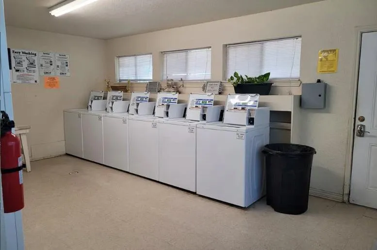 2050 S Byrd Avenue Shepherd, TX 77371