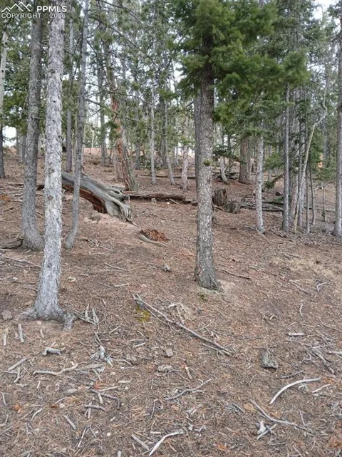495 Wakanda Trail