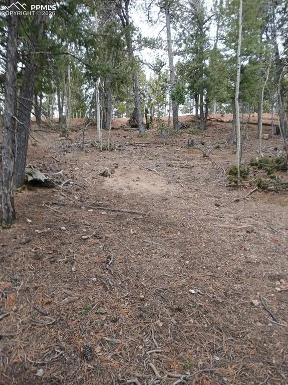 495 Wakanda Trail Woodland Park, CO 80863