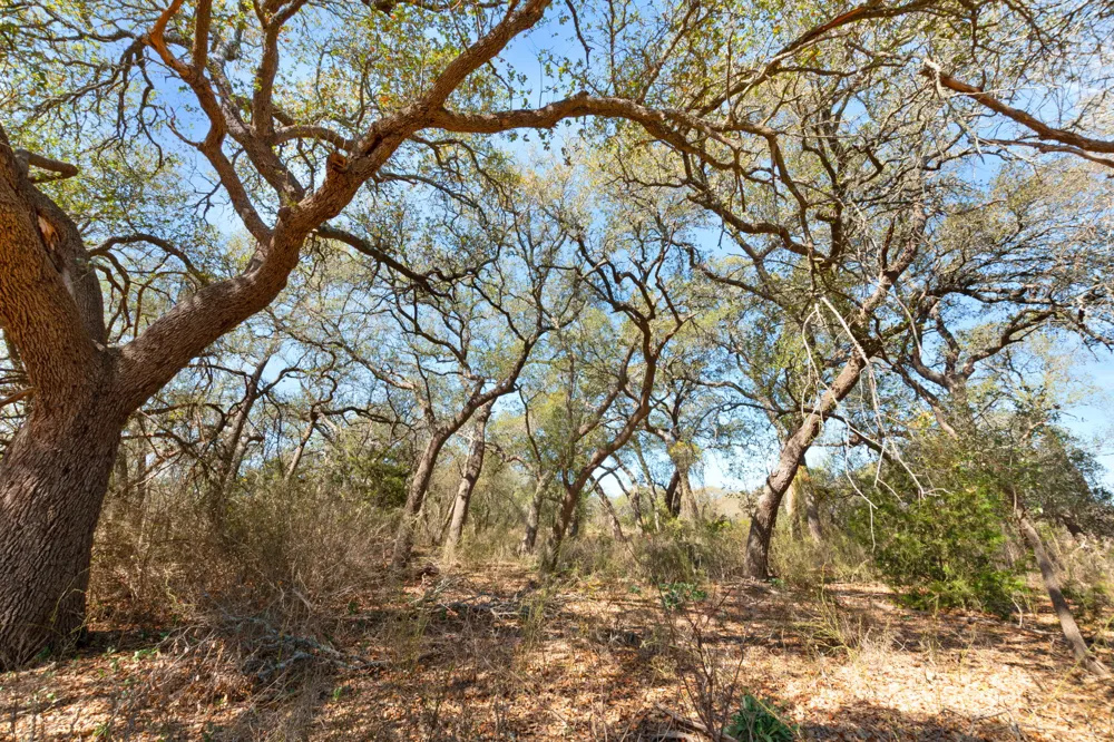 Carpenter Court Corner Burnet, TX 78611