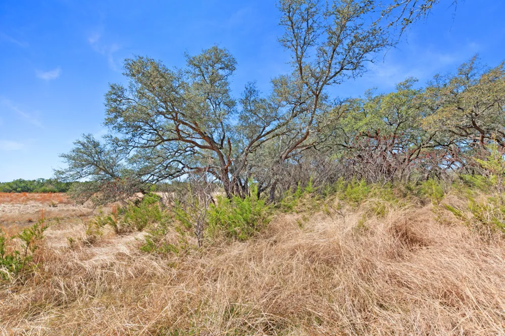 Carpenter Court Corner Burnet, TX 78611
