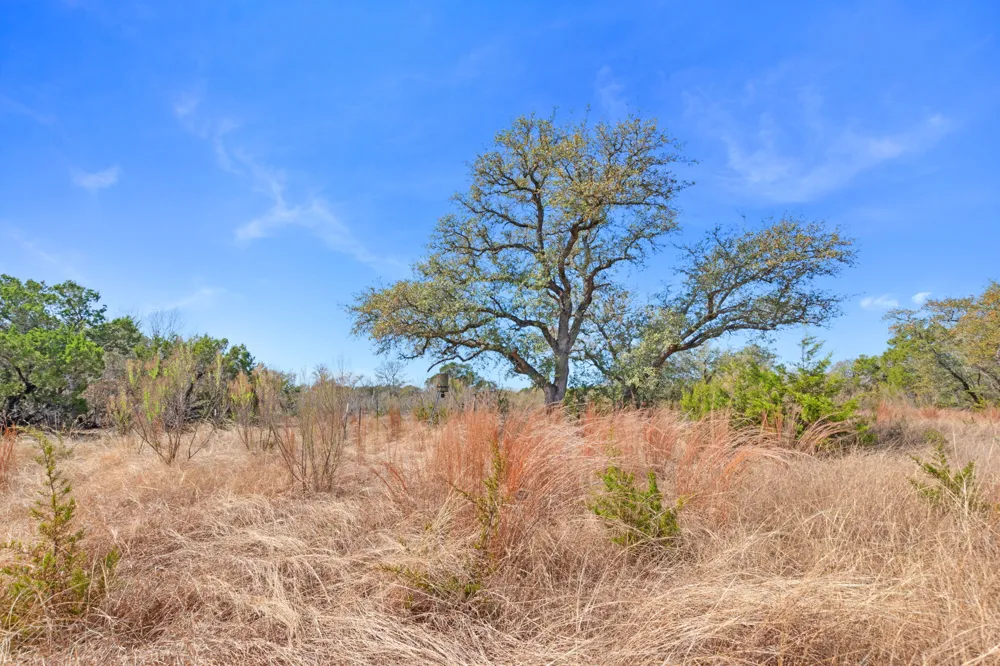 Carpenter Court Corner Burnet, TX 78611