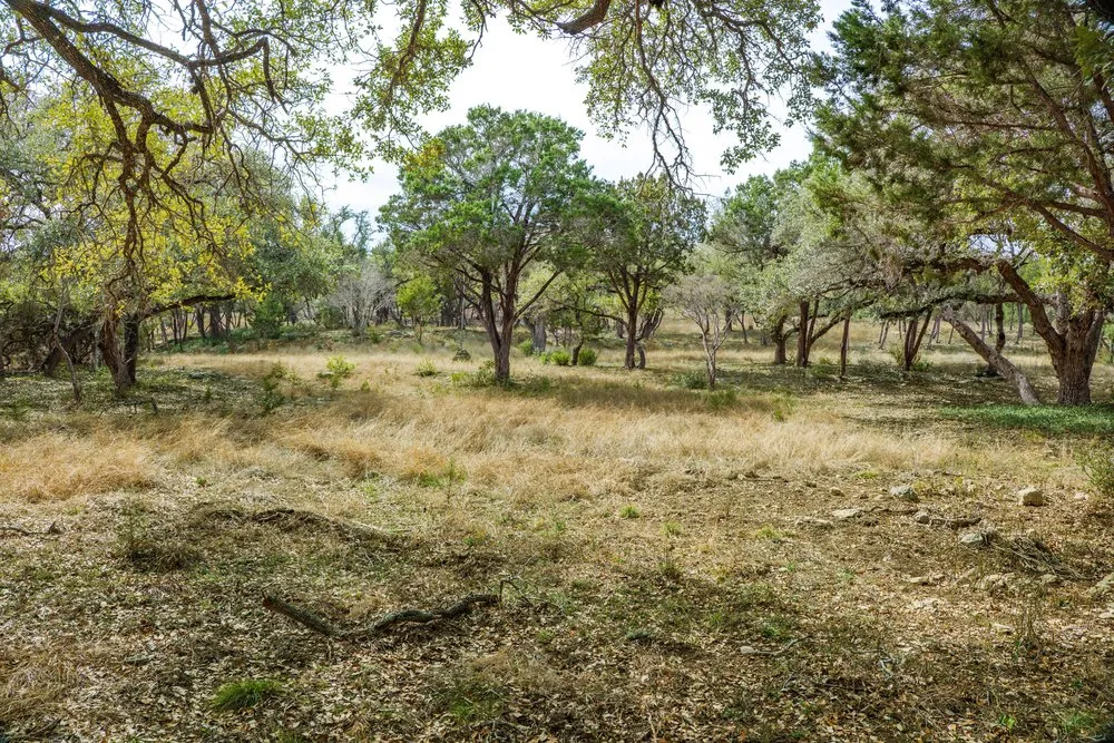 6026 Sentry Point Fischer, TX 78623