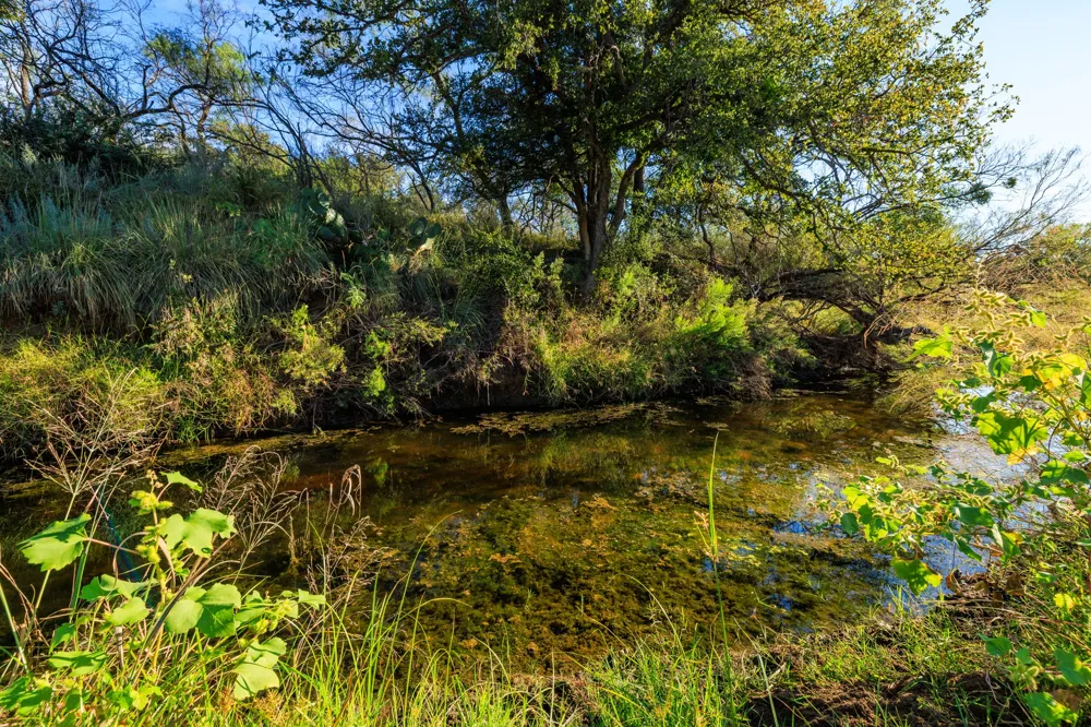 Ranch Road 965 Llano, TX 78643
