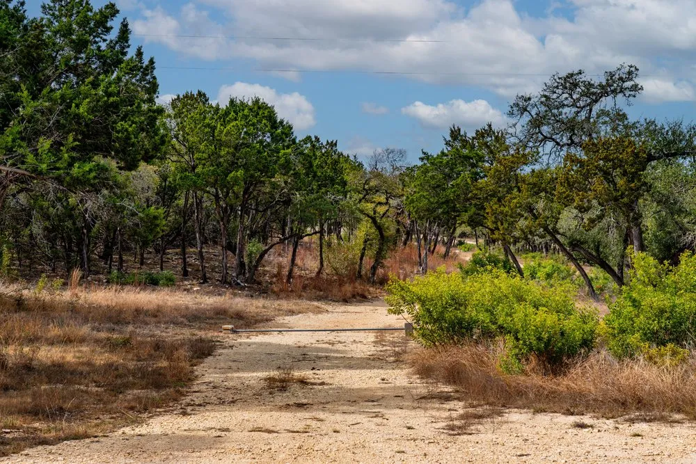 6026 Sentry Point Fischer, TX 78623
