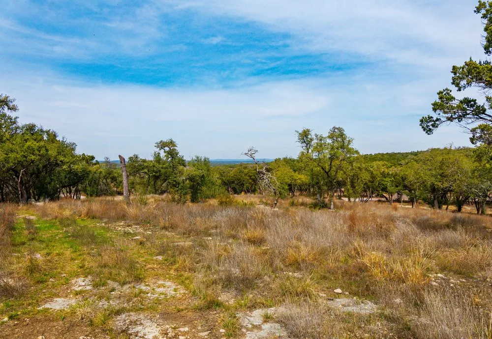 6026 Sentry Point Fischer, TX 78623