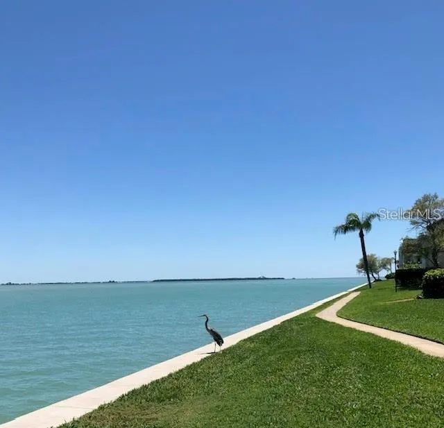 113 1ST STREET E #103 Tierra Verde, FL 33715