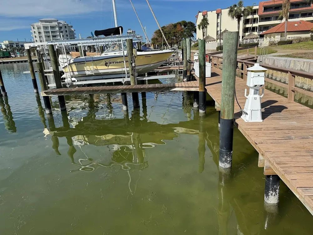 113 1ST STREET E #103 Tierra Verde, FL 33715
