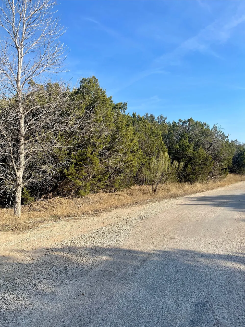 5291 Lakeshore Drive Possum Kingdom Lake, TX 76450