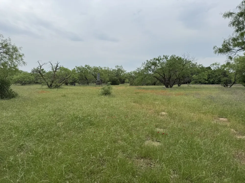 12550 County Road 136 Breckenridge, TX 76470