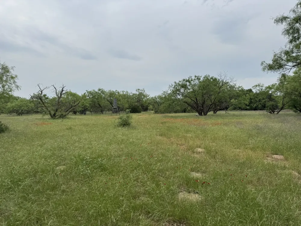 12550 County Road 136 Breckenridge, TX 76470