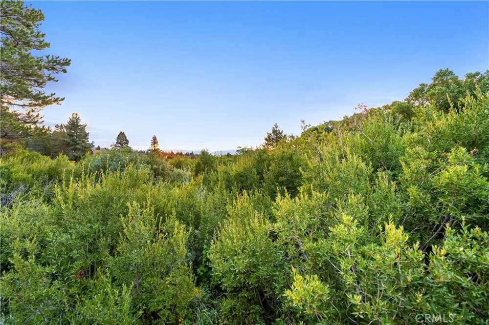 595 Waterford Avenue Mammoth Lakes, CA 93546