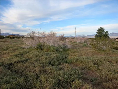 Jacks Ranch Rd