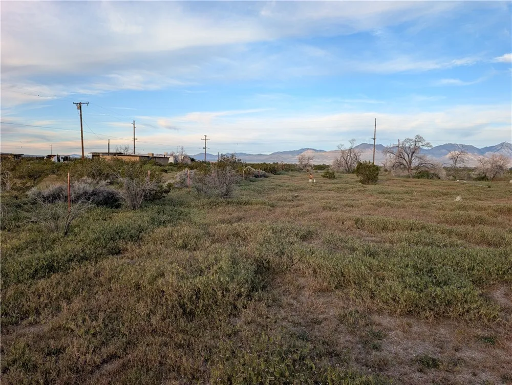 Jacks Ranch Rd Ridgecrest, CA 93555