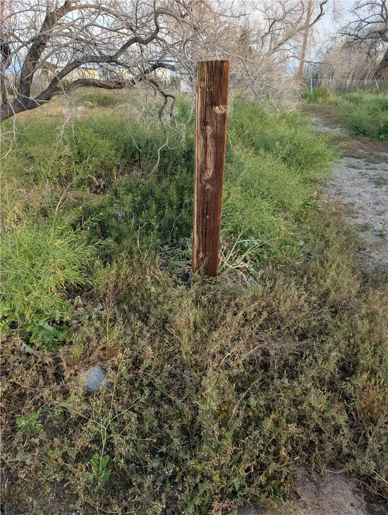 Jacks Ranch Rd Ridgecrest, CA 93555