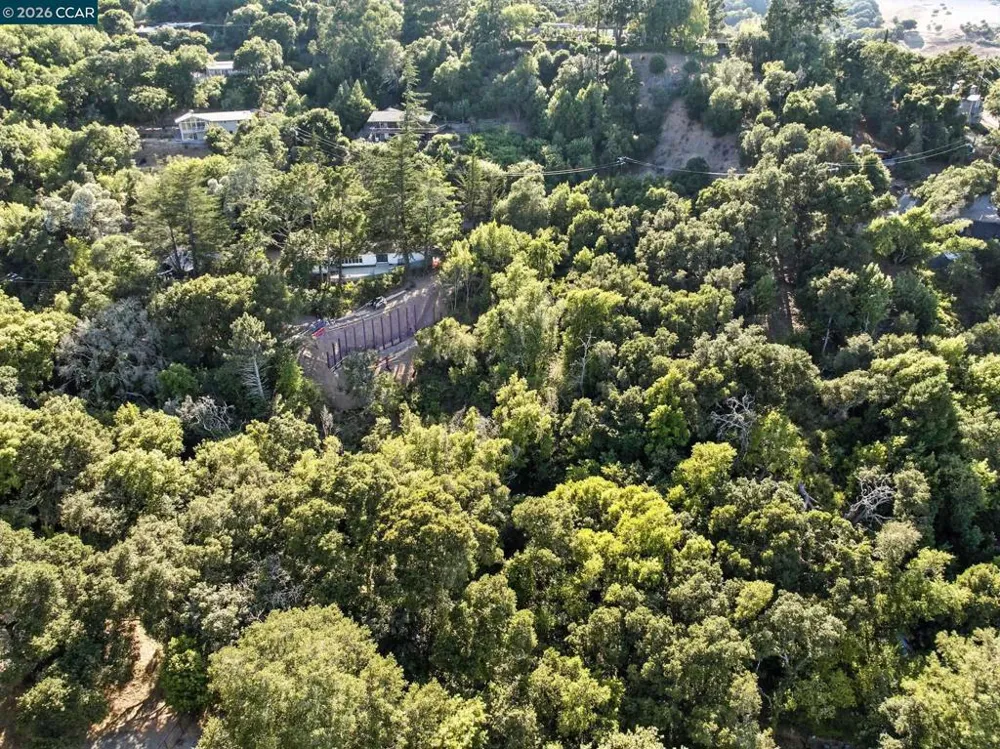 Camino Del Monte Orinda, CA 94563