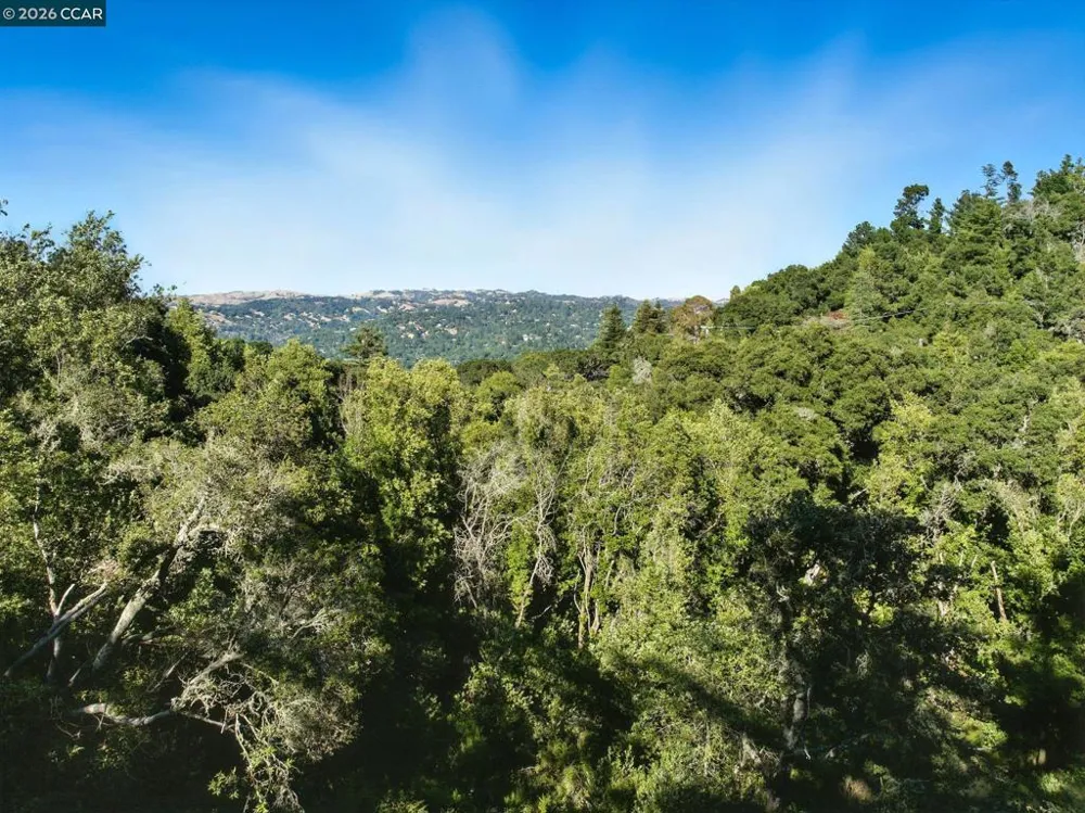 Camino Del Monte Orinda, CA 94563