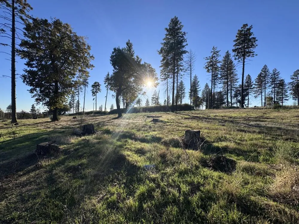 12168 Granite Ridge Road Oroville, CA 95965