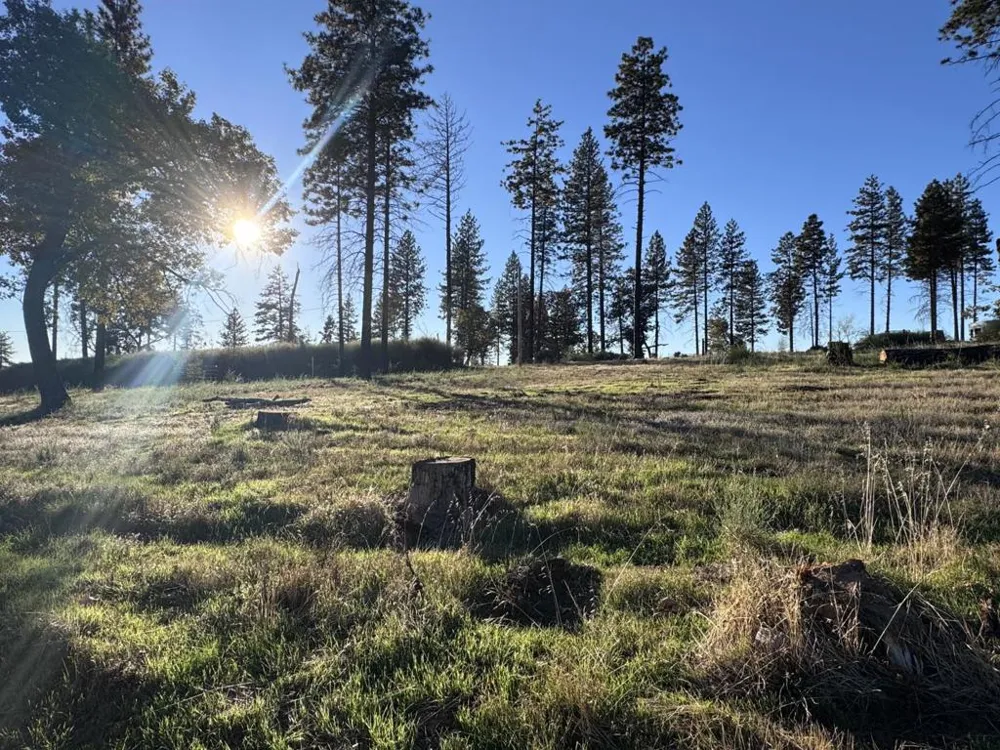 12168 Granite Ridge Road Oroville, CA 95965