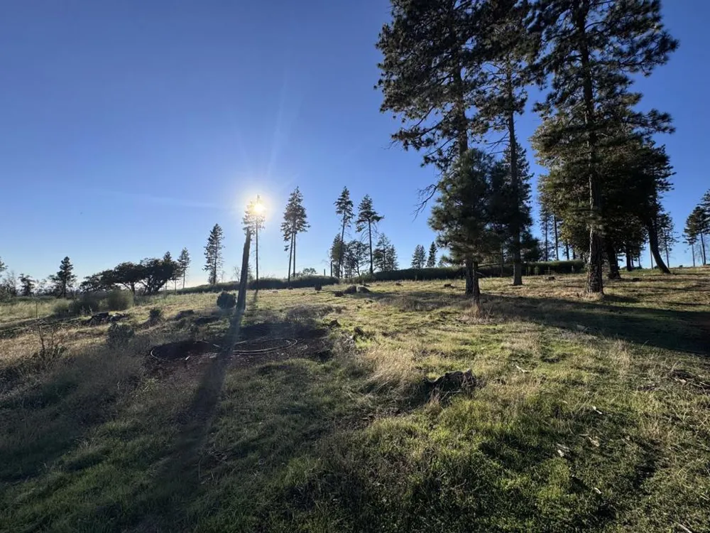 12168 Granite Ridge Road Oroville, CA 95965