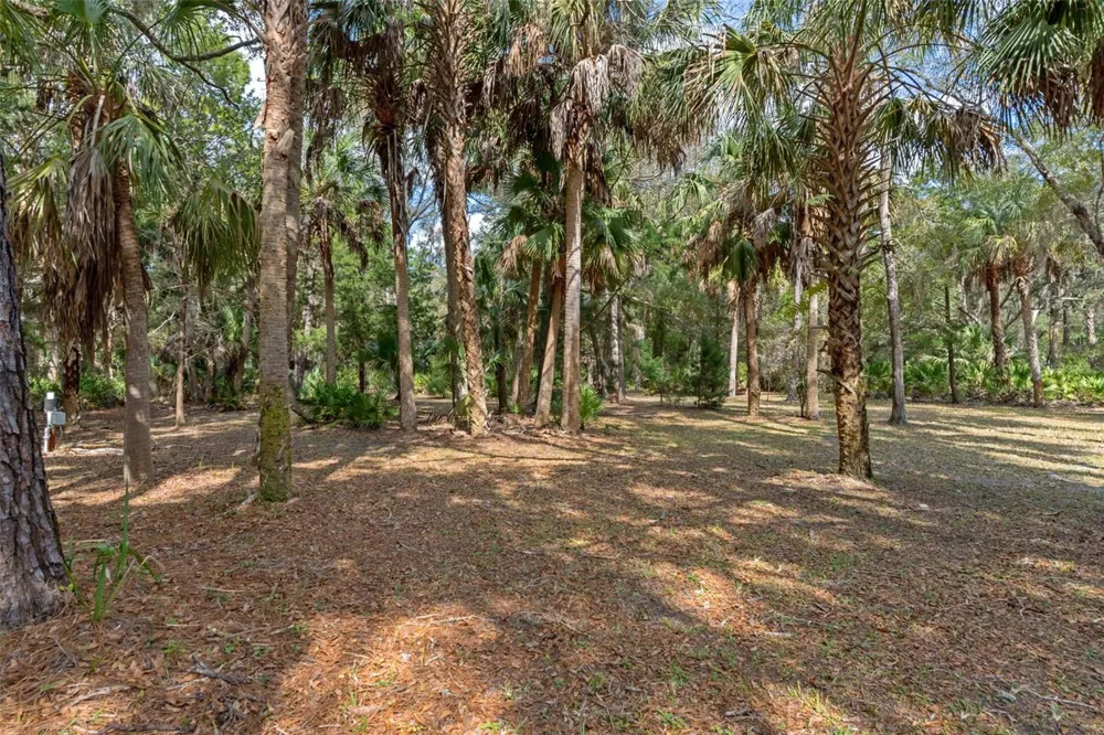 35 CAPTAINS COVE ROAD Inglis, FL 34449