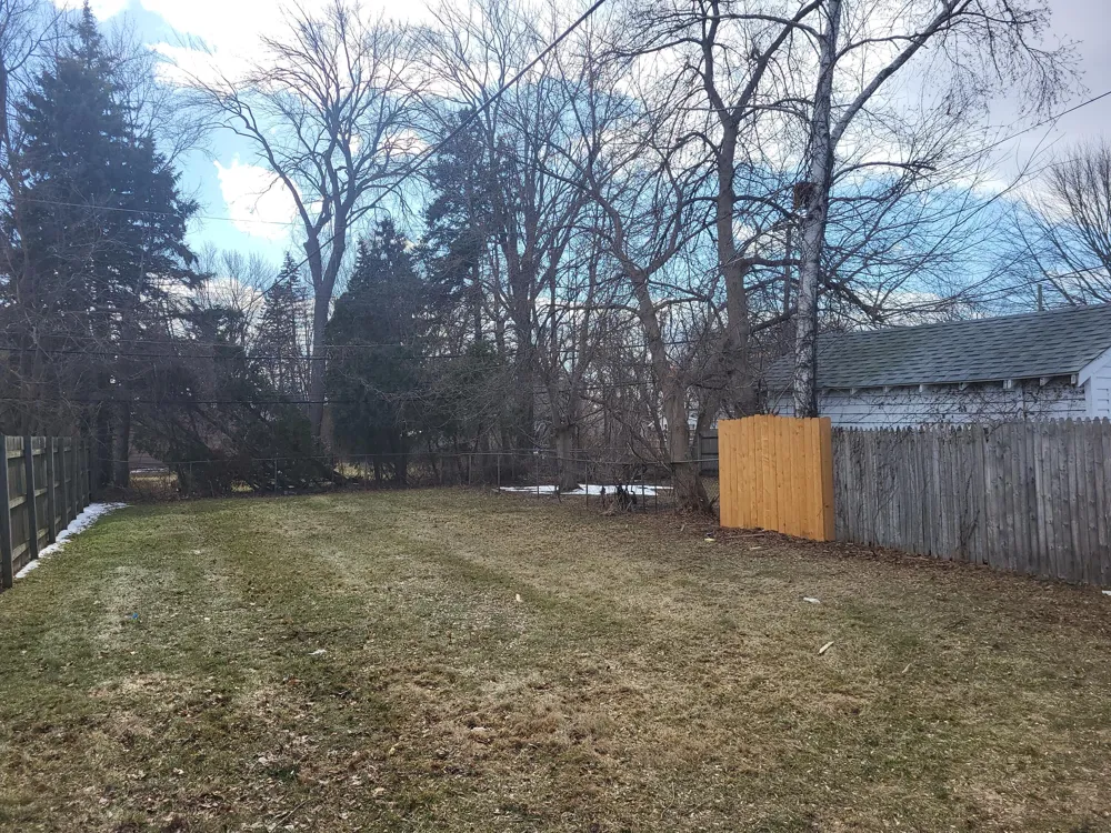 22032 Elizabeth Street Saint Clair Shores, MI 48080