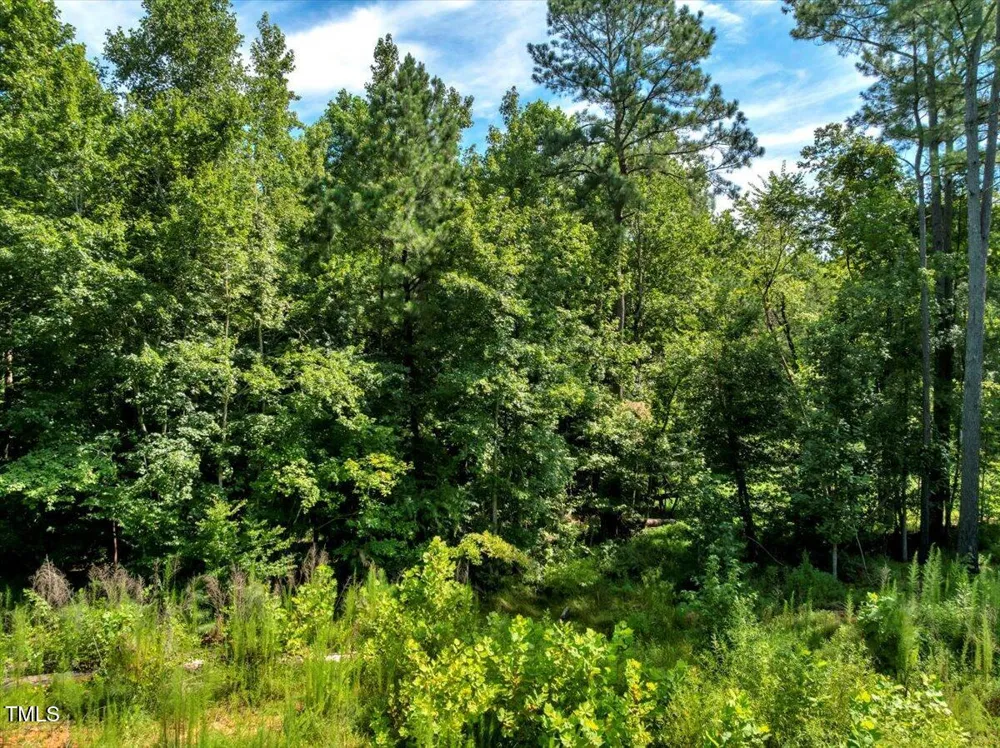 5310 Langdon Drive Oxford, NC 27565