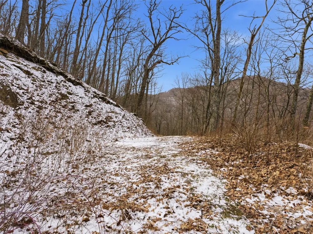 00 Awohali Trail #B6 Maggie Valley, NC 28751