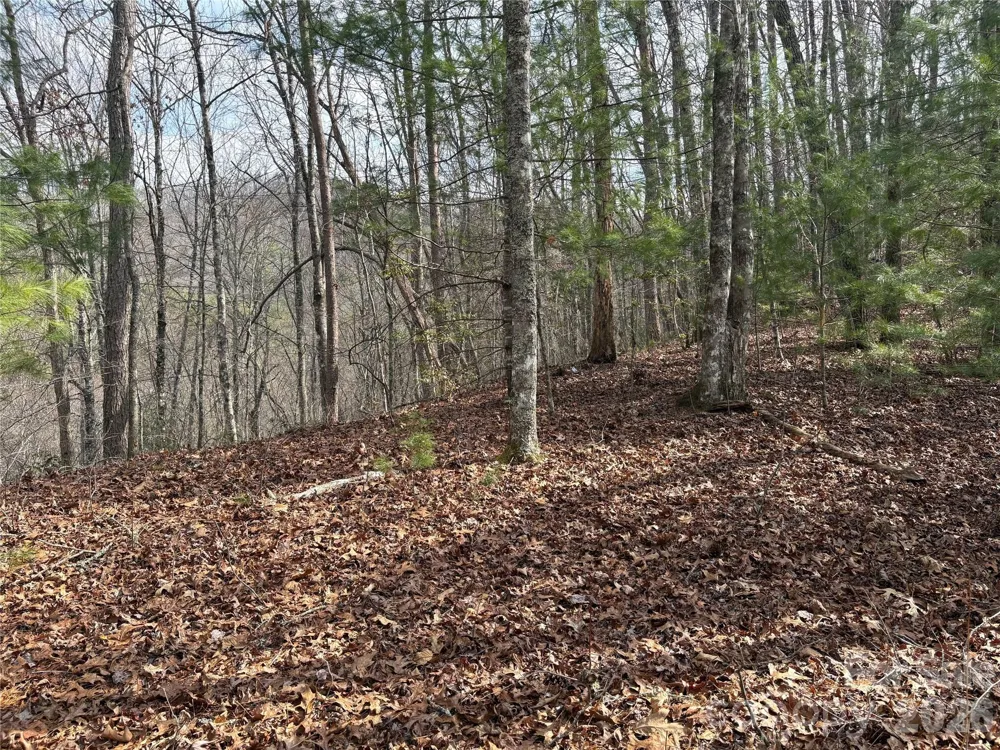 00 Round Hill Road #14 Bryson City, NC 28713