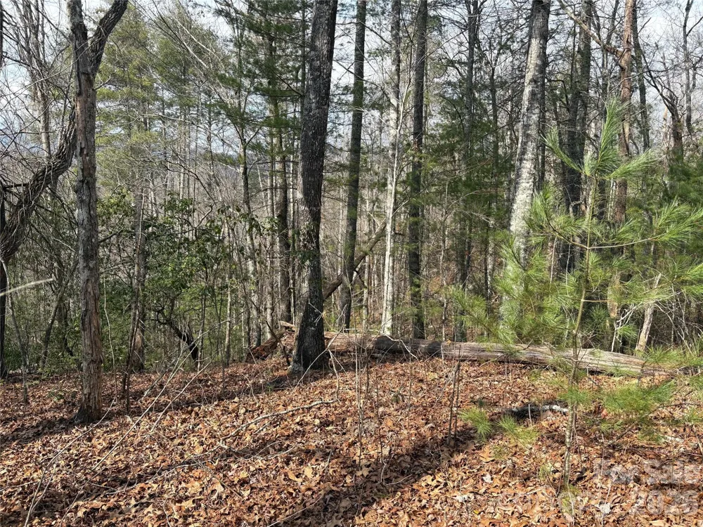 00 Round Hill Road #14 Bryson City, NC 28713