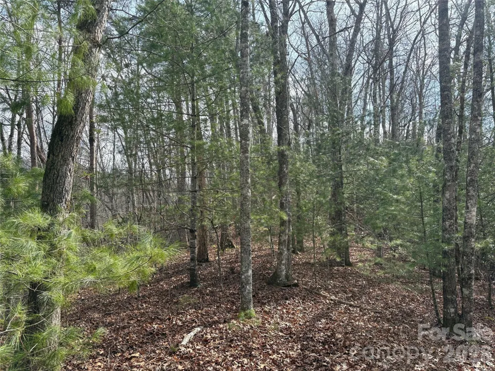 00 Round Hill Road #14 Bryson City, NC 28713